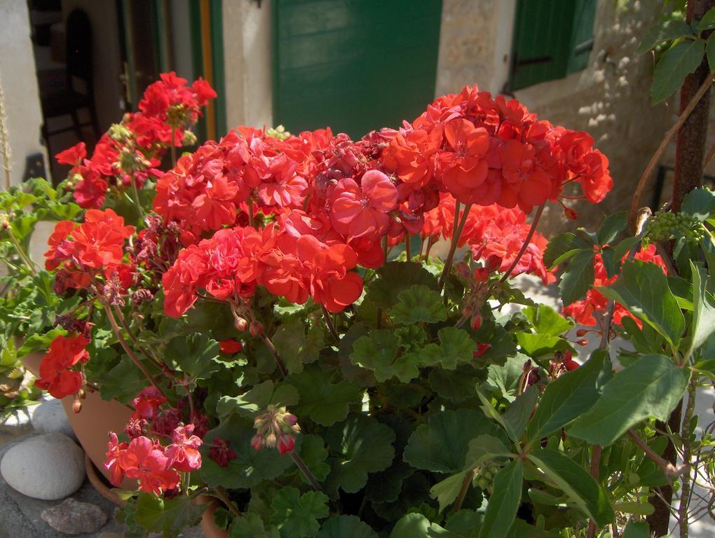 Guest House Lucijo Vrboska Kültér fotó